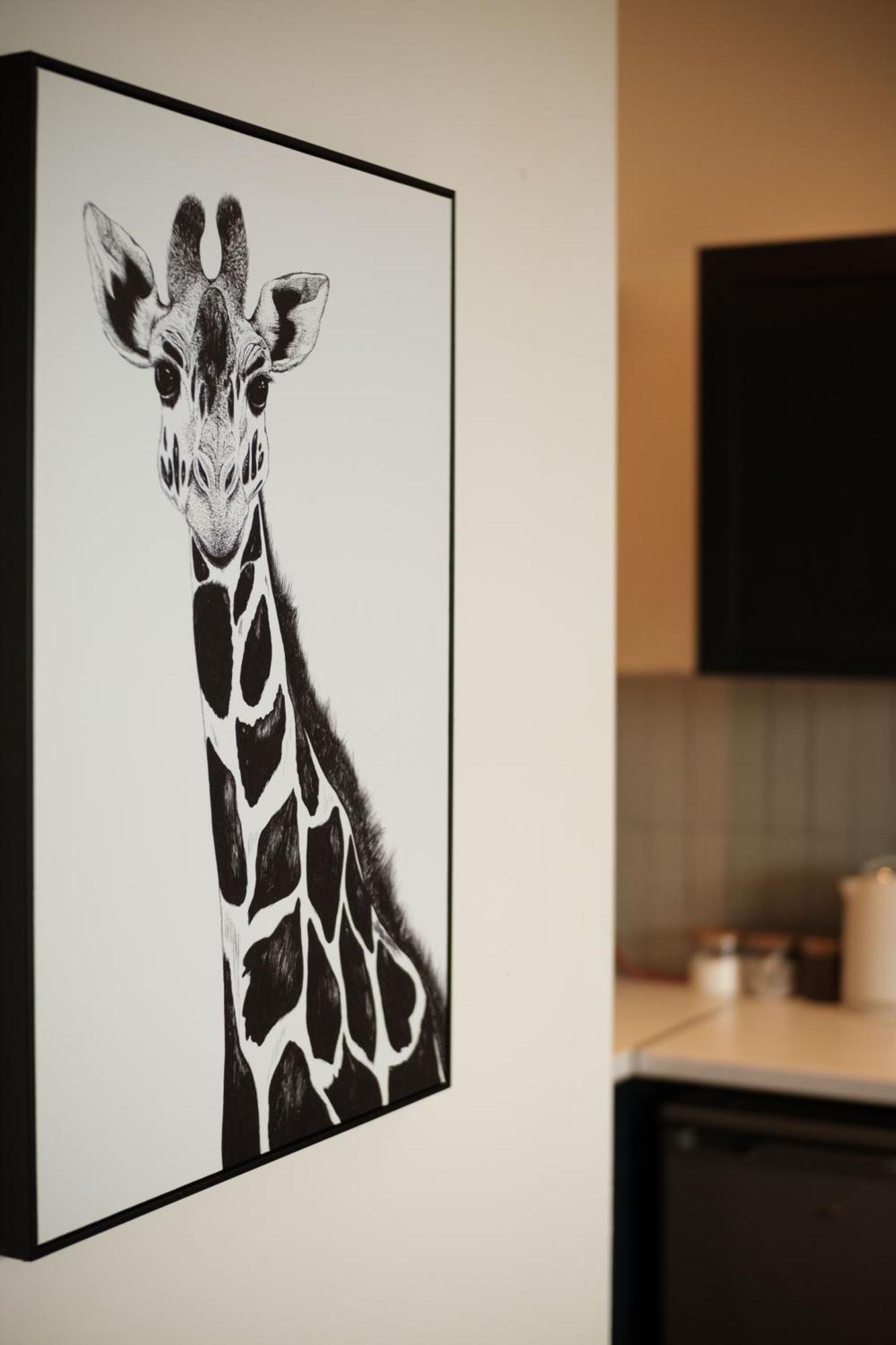 Antrim Road Apartments Белфаст Екстериор снимка